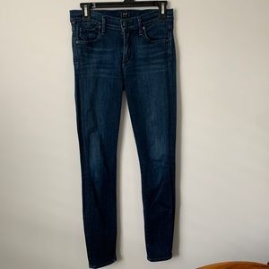 Citizens of Humanity Avedon Low Rise Skinny Leg